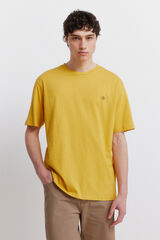 Springfield Playera inyectada oscura amarillo