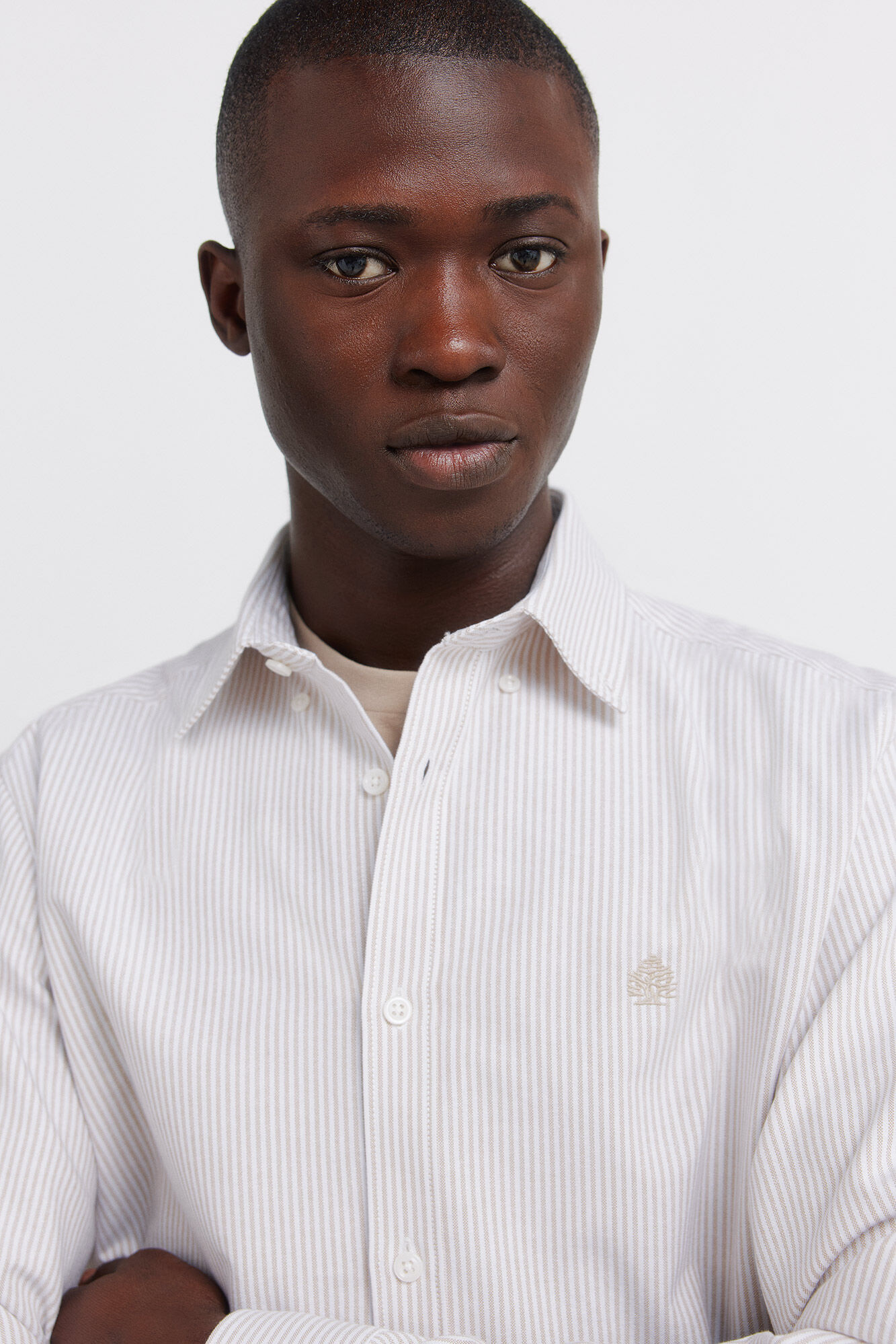 Springfield Camisa oxford a rayas sin arrugas