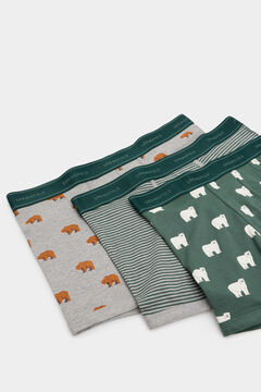 Springfield Pack de 3 boxers estampado osos verde