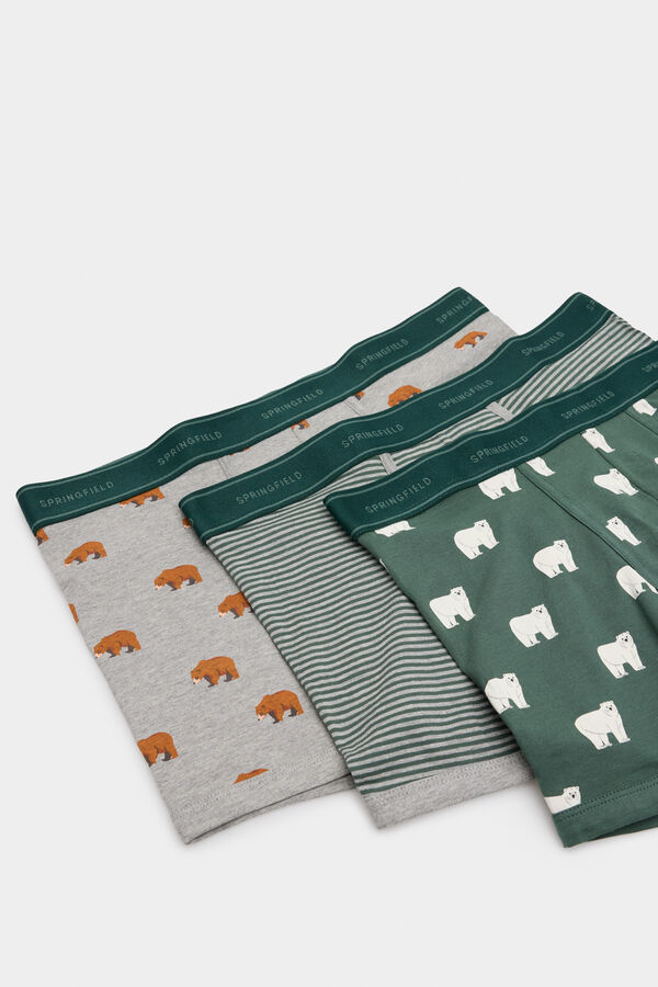 Springfield Pack de 3 boxers estampado osos verde