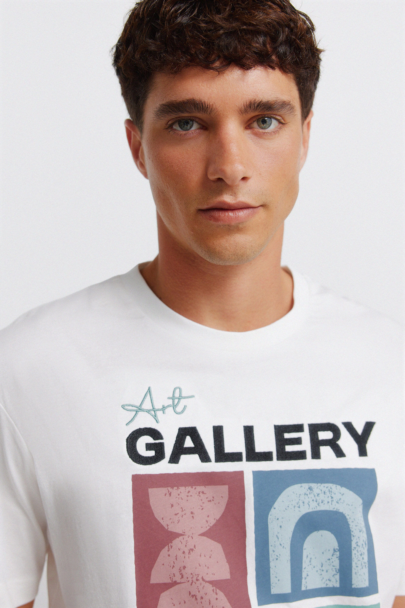 Springfield Playera art gallery