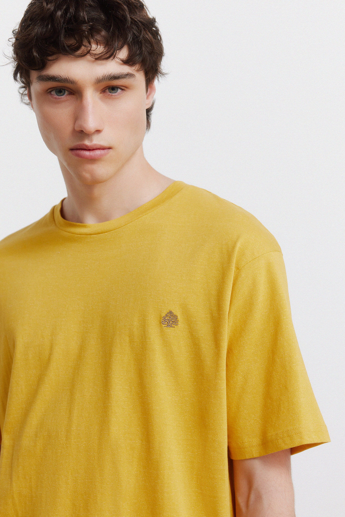 Springfield Playera inyectada oscura