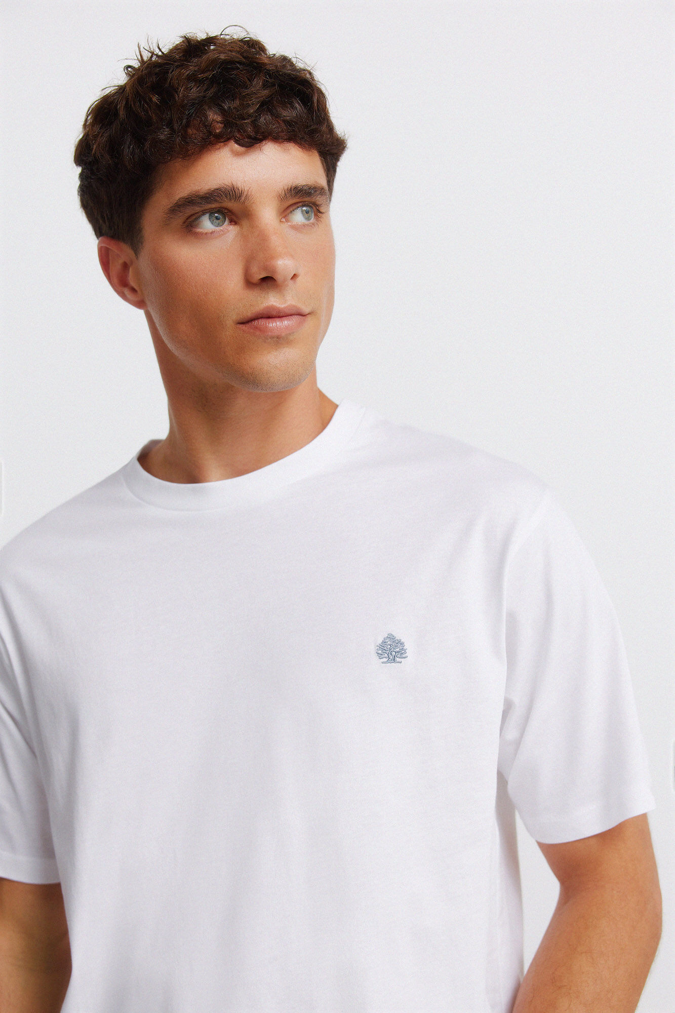 Springfield Playera b&aacute;sica logo Springfield