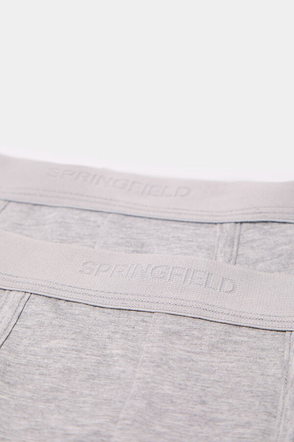 Springfield Pack 2 bóxeres básicos gris