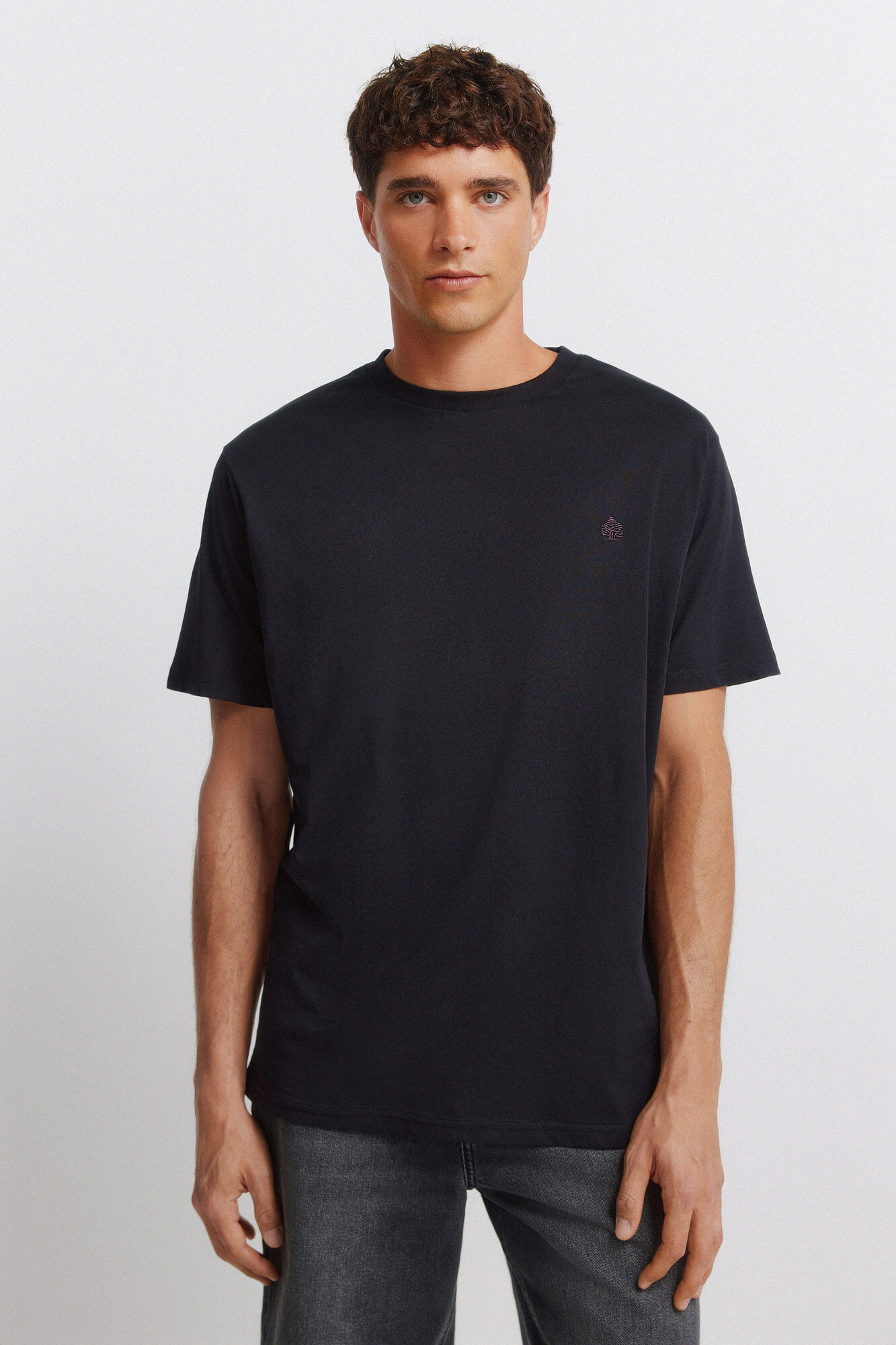 Springfield Playera b&aacute;sica logo Springfield