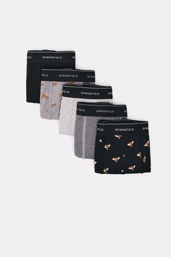 Springfield Pack 5 bóxeres estampados grises gris