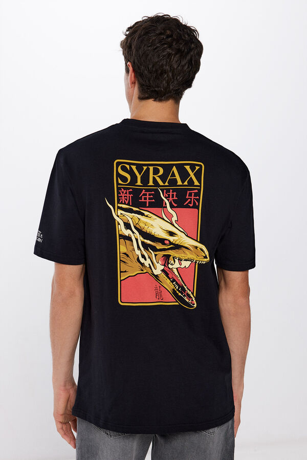 Springfield Camiseta Juego de Tronos negro
