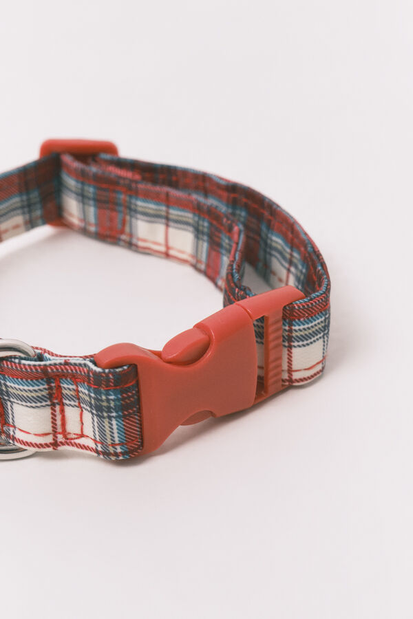Women'secret collar de perro estampado