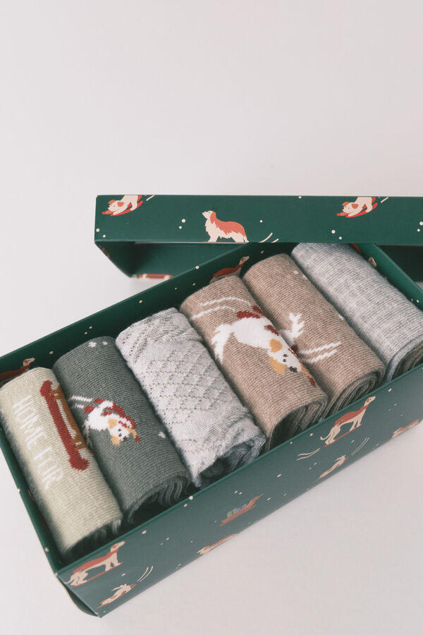 Women'secret Paquete de 6 calcetines largos de algodón para perros  verde