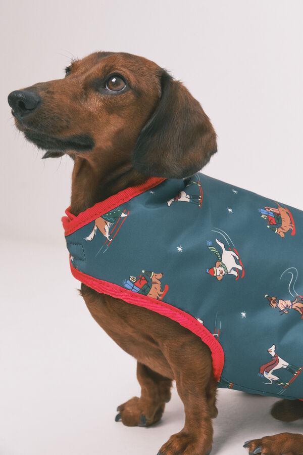 Women'secret Impermeable para perros  estampado