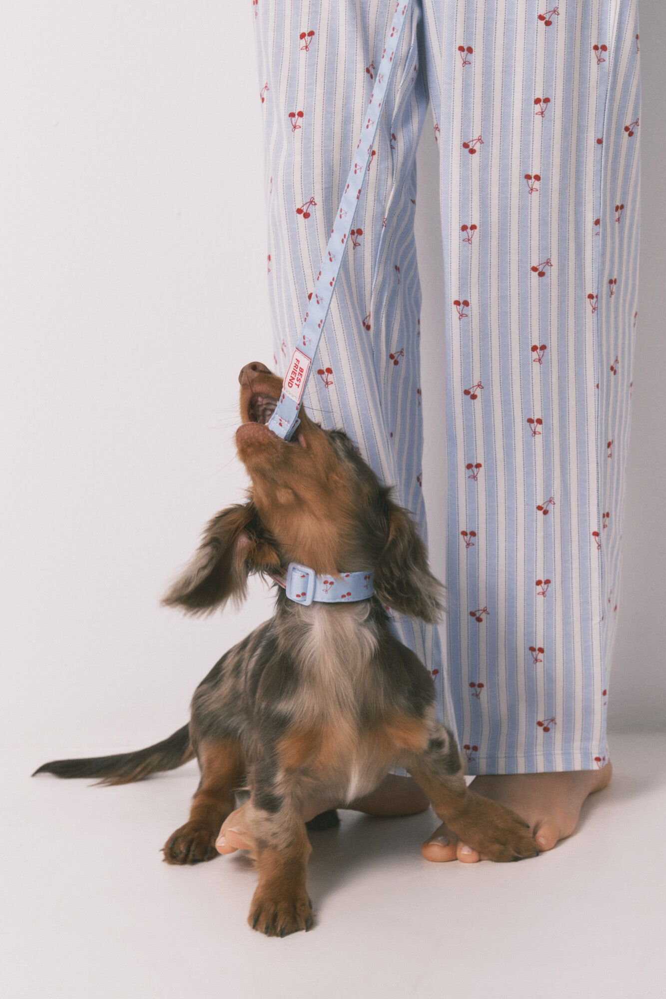 Women'secret Collar para perro con colgante de cerezas azul