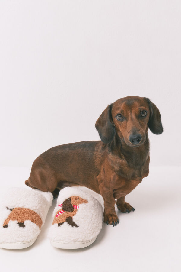 Women'secret Pantuflas para casa de borrego marfil