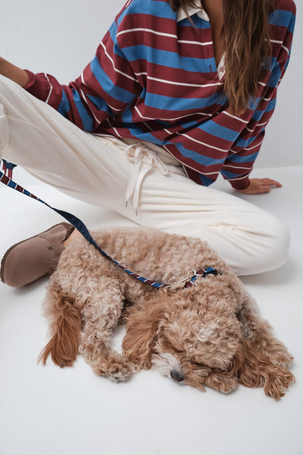 Women'secret Collar para perro de rayas estampado