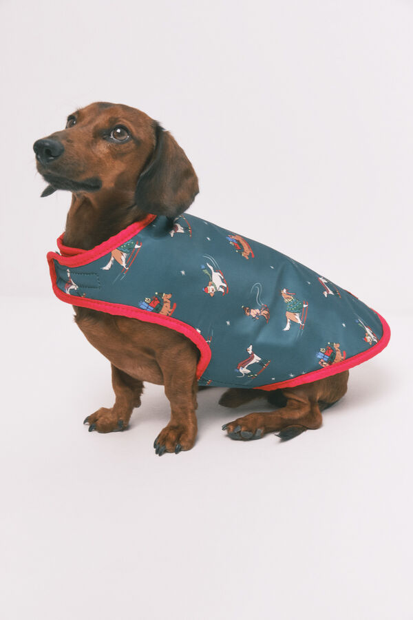 Women'secret Impermeable para perros  estampado