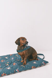 Women'secret Cojín para perros