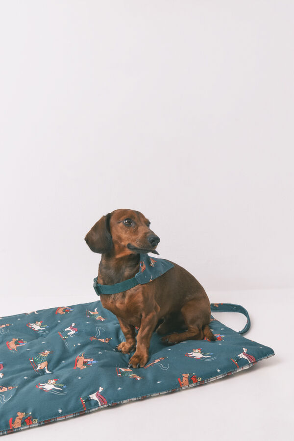 Women'secret Cojín para perros estampado