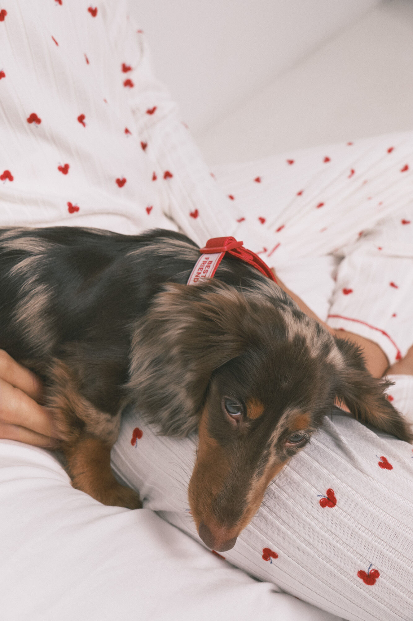 Women'secret Collar para perro con colgante de cerezas rojo