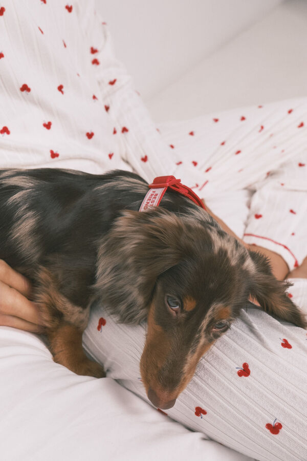 Women'secret Collar para perro con colgante de cerezas rojo rojo