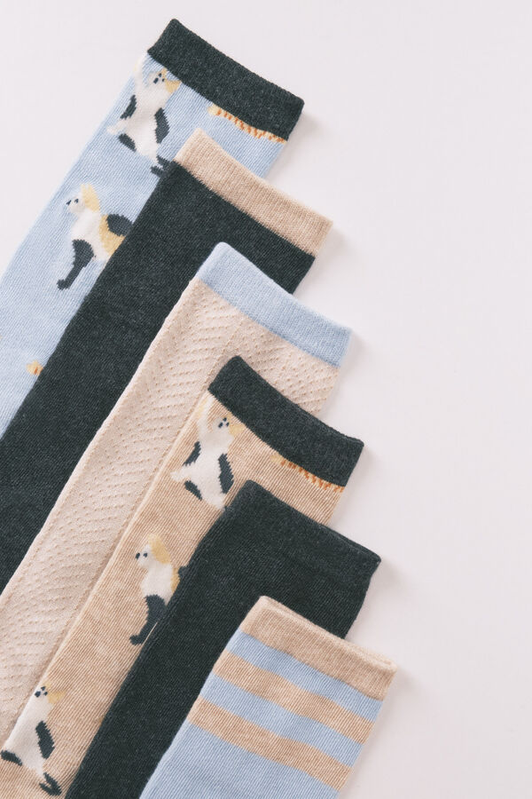 Women'secret Pack de 6 calcetines largos de algodón con gatos   azul