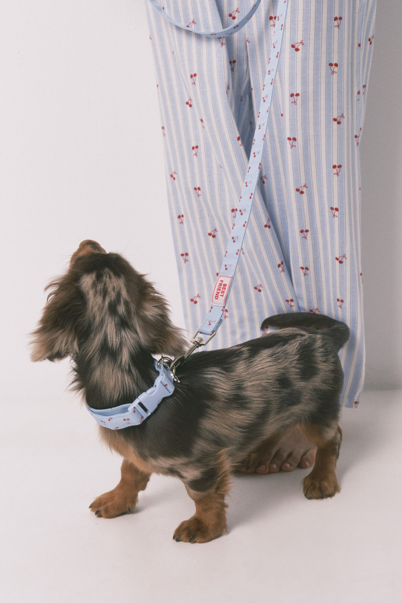 Women'secret Collar para perro con colgante de cerezas azul