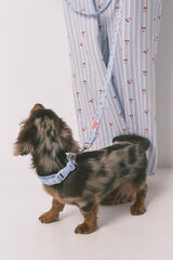 Women'secret Collar para perro con colgante de cerezas azul azul