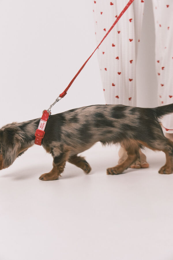 Women'secret Correa para perro con corazones roja rojo