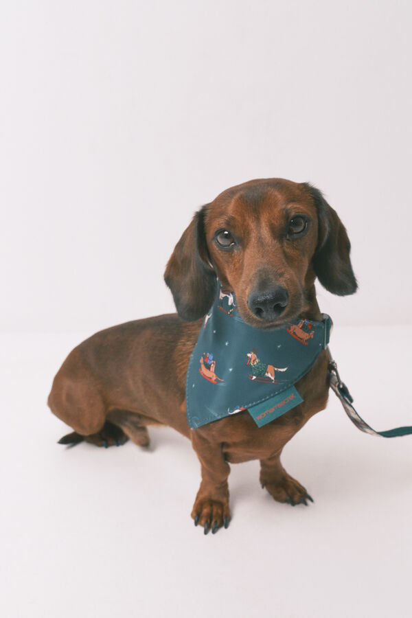 Women'secret Pañuelo para perro estampado