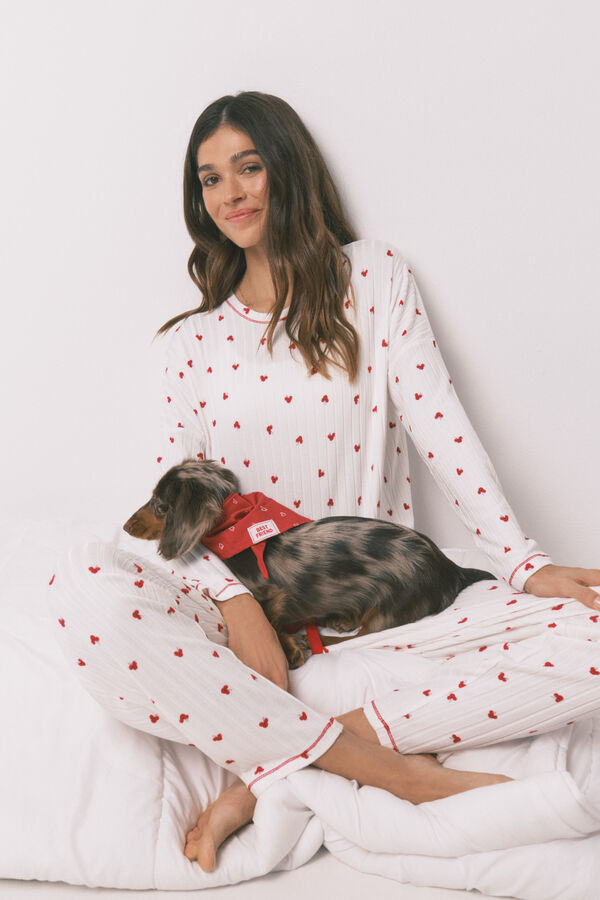 Women'secret Bandana para perro con estampado de corazones roja rojo