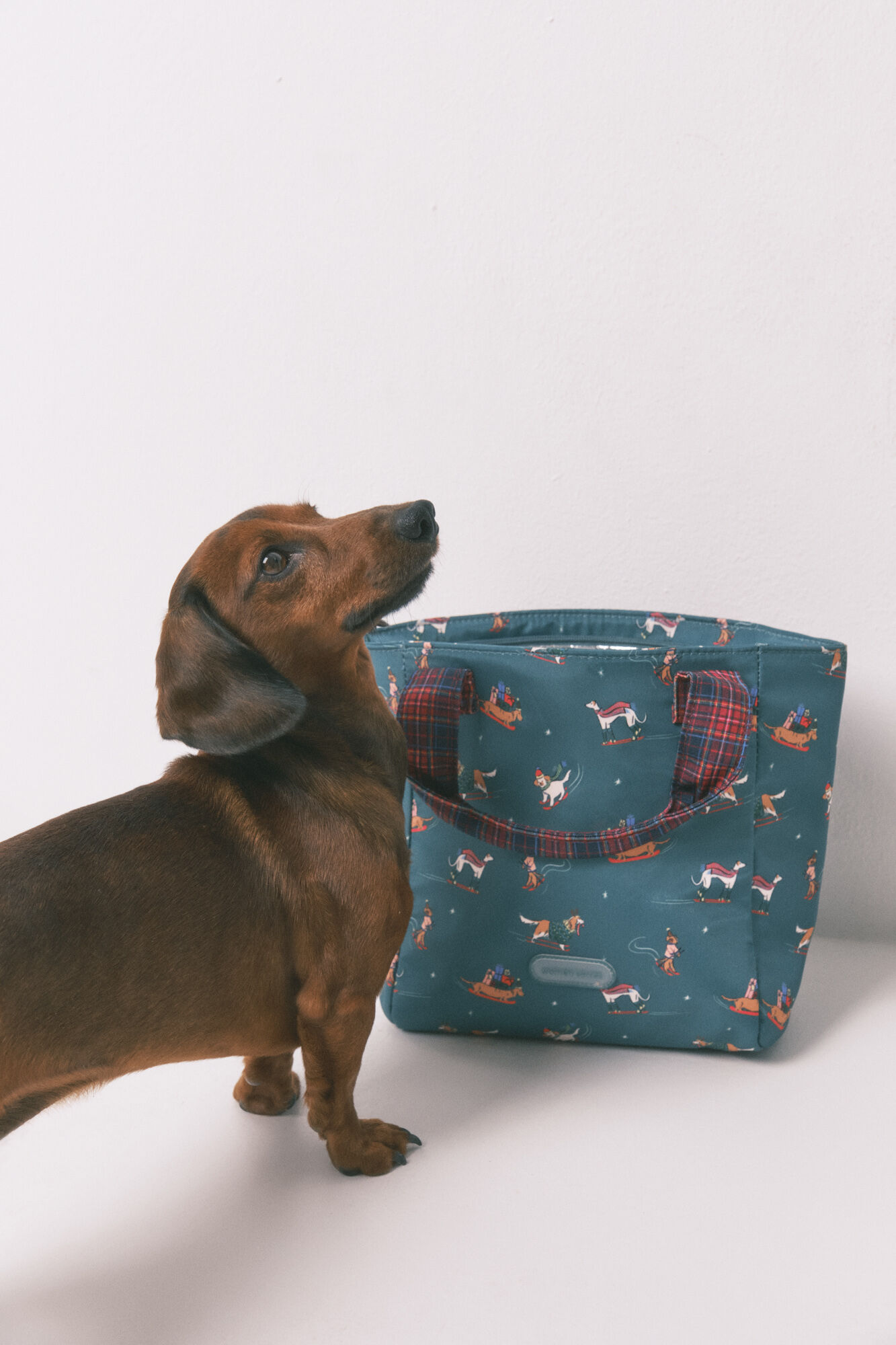 Women'secret Bolsa de almuerzo con estampado de perro