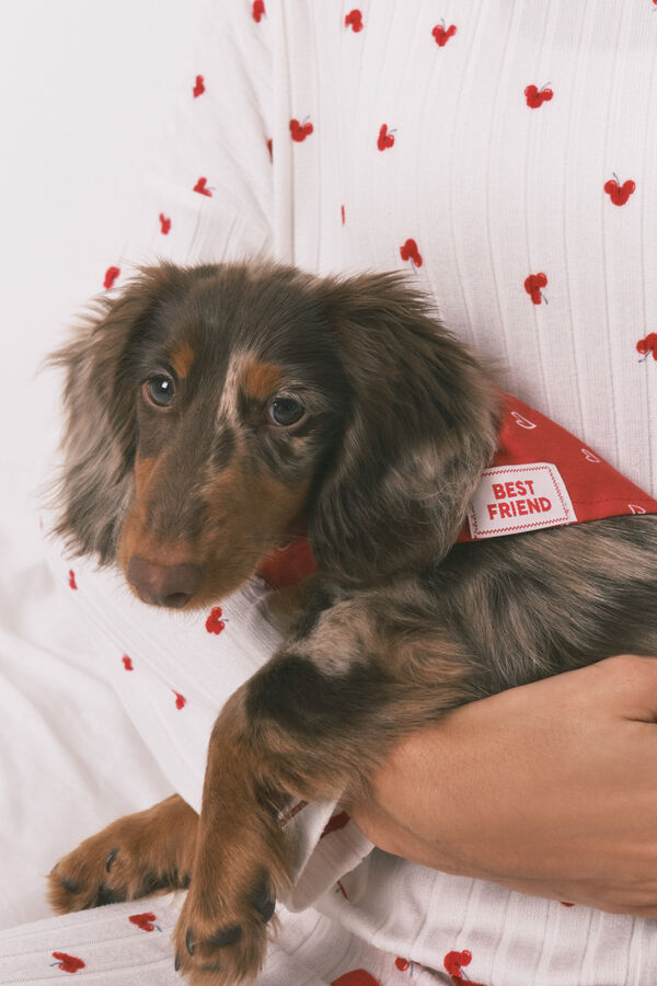 Women'secret Bandana para perro con estampado de corazones roja rojo