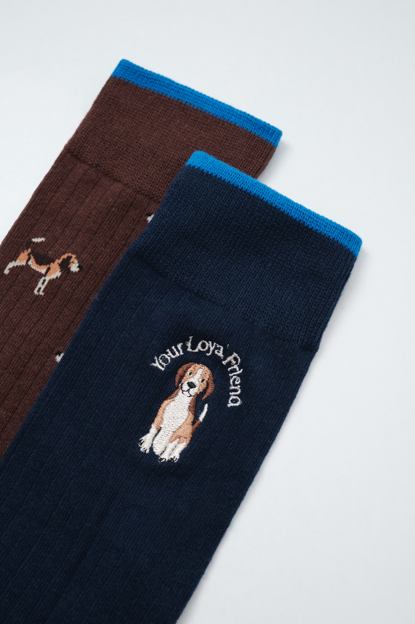 Women'secret Pack 3 calcetines lisos perros