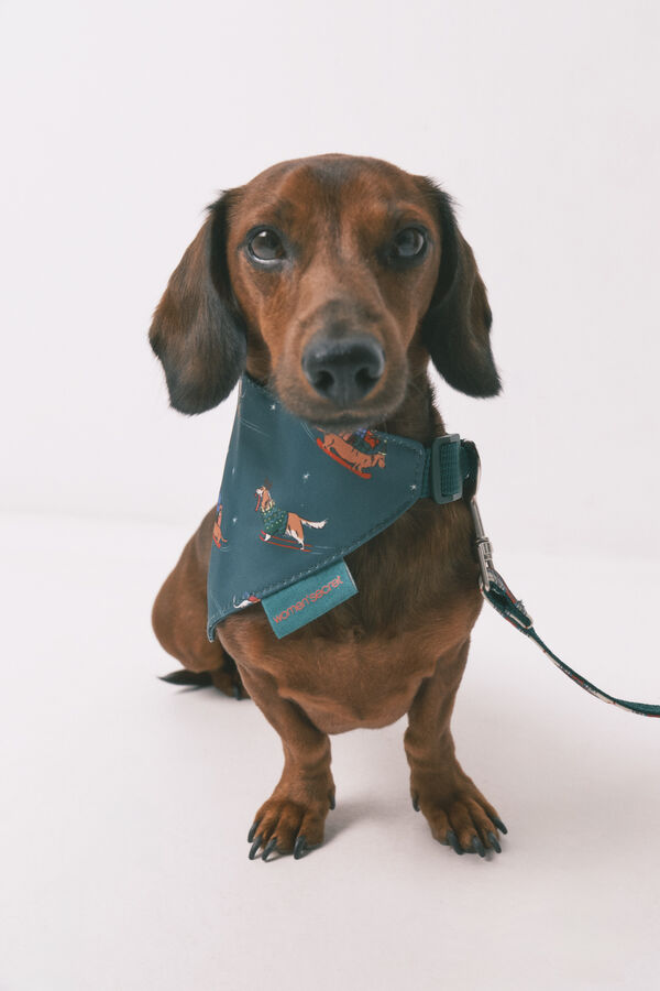 Women'secret Pañuelo para perro estampado