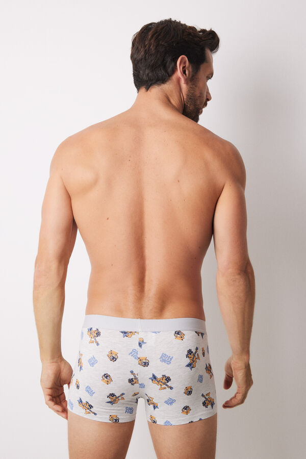 Womensecret Pack 2 calzones bóxer algodón Garfield morado/lila