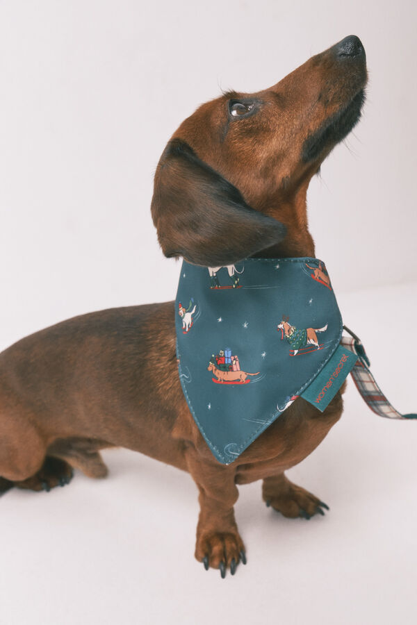 Women'secret Pañuelo para perro estampado