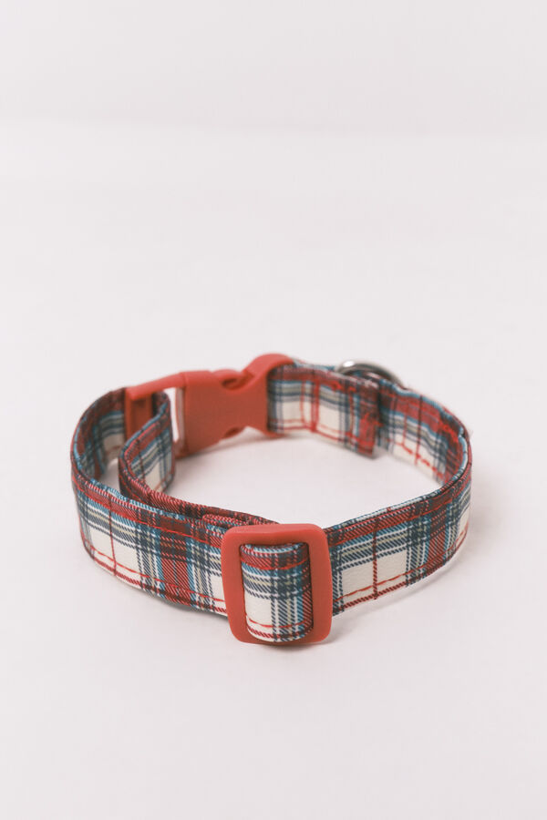 Women'secret collar de perro estampado
