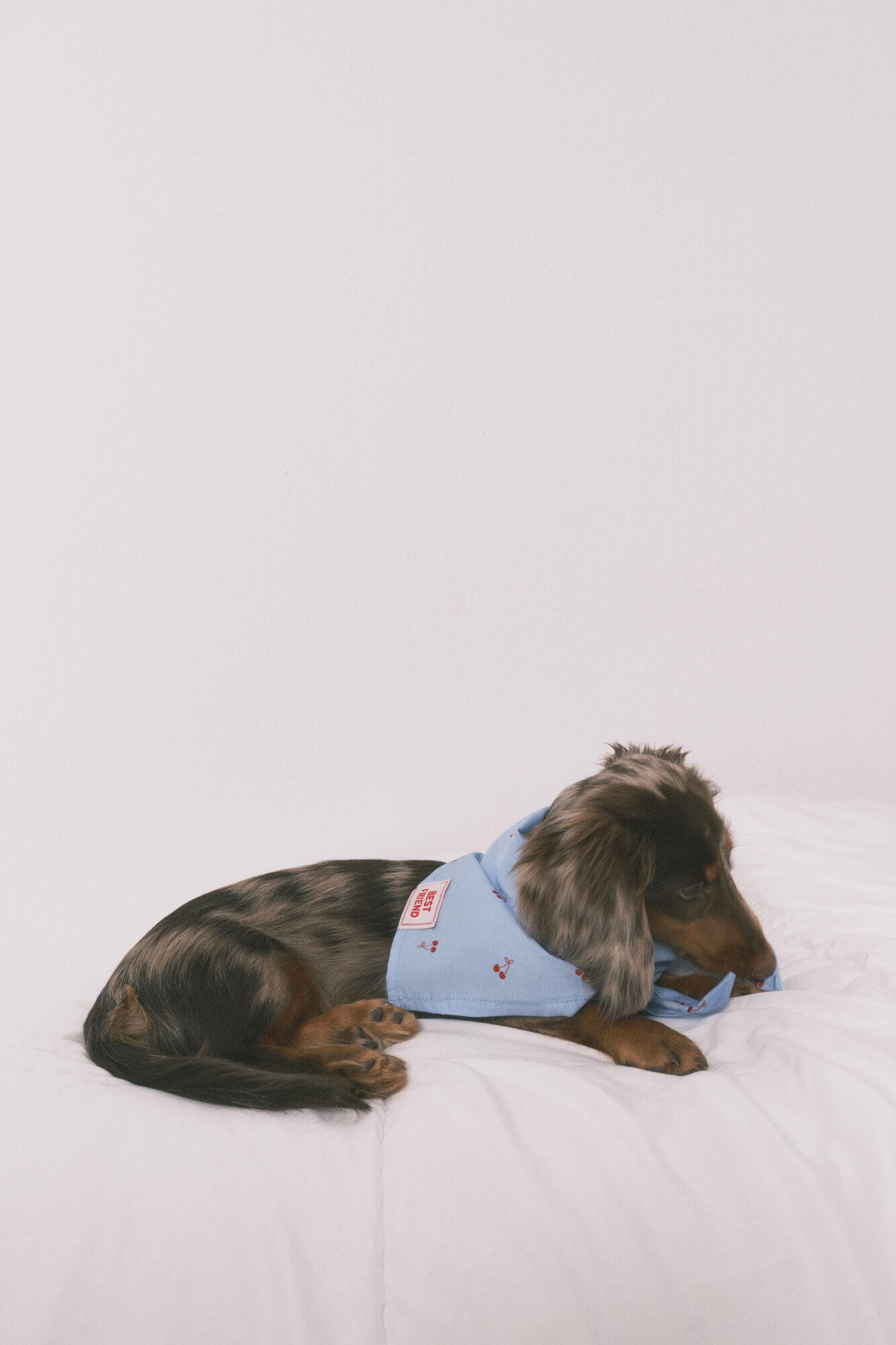 Women'secret Bandana para perro con estampado de cerezas azul