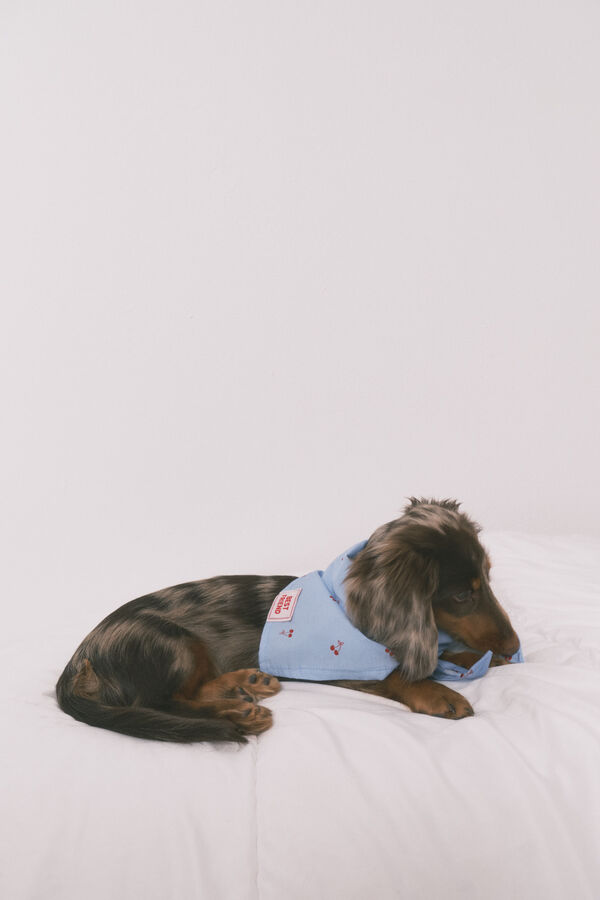 Women'secret Bandana para perro con estampado de cerezas azul azul